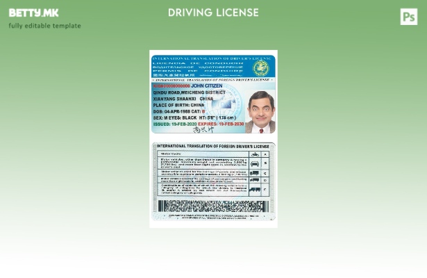 модерен стил Шаблон за меѓународен превод на возачка дозвола